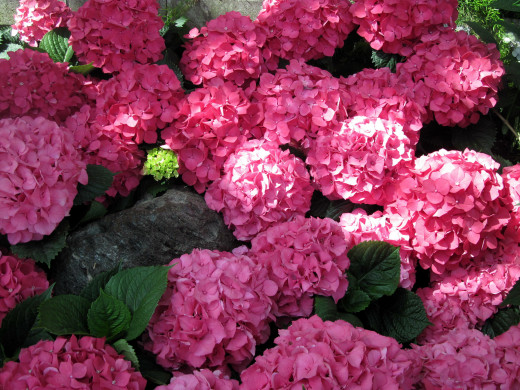 1058817 (a): :2560x1920